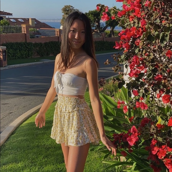 springye